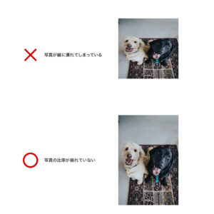 写真の縦横比が崩れてしまっている